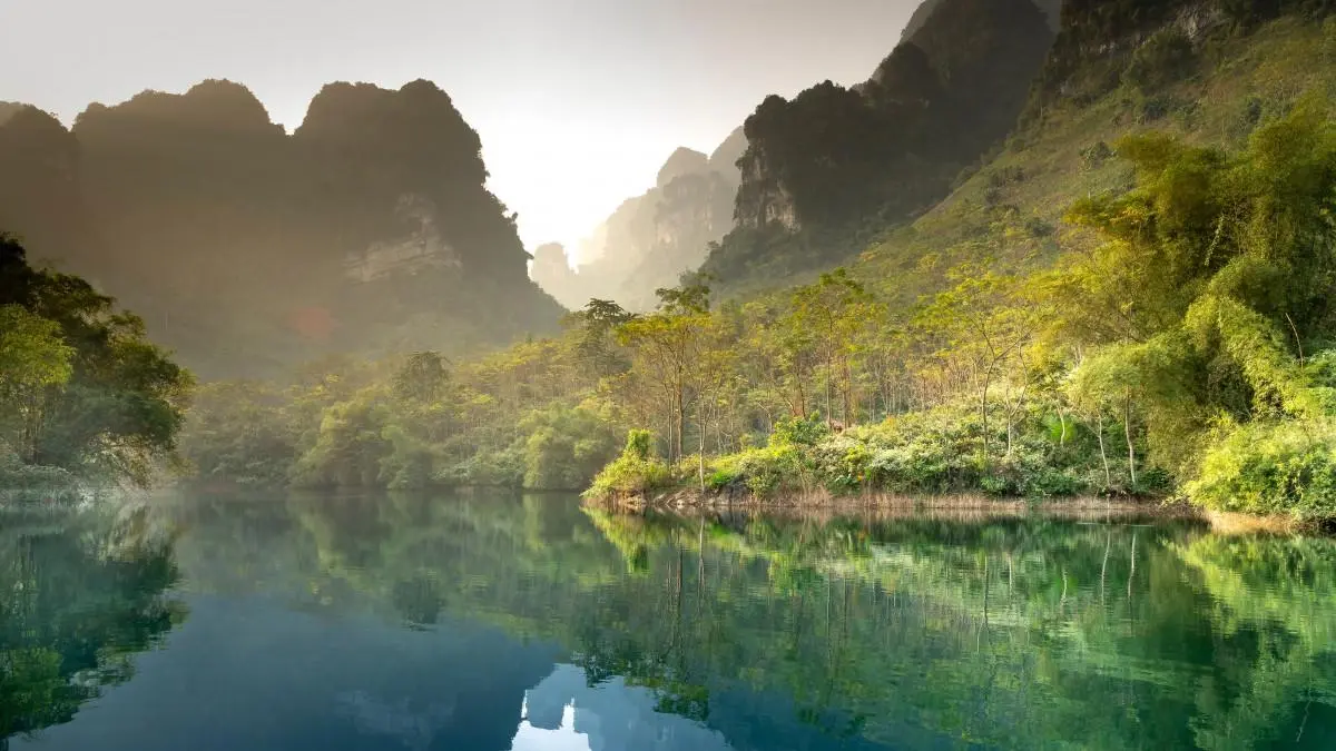 高质量高性能科技